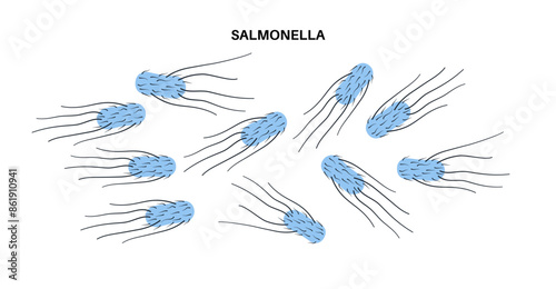 .Salmonella Typhimurium Cells