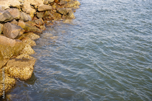 rocks in the sea photo