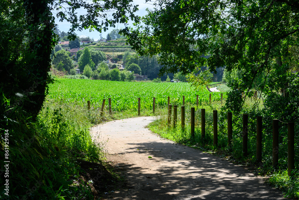 Naklejka premium Lima River trail