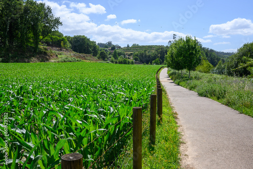 Lima River trail photo