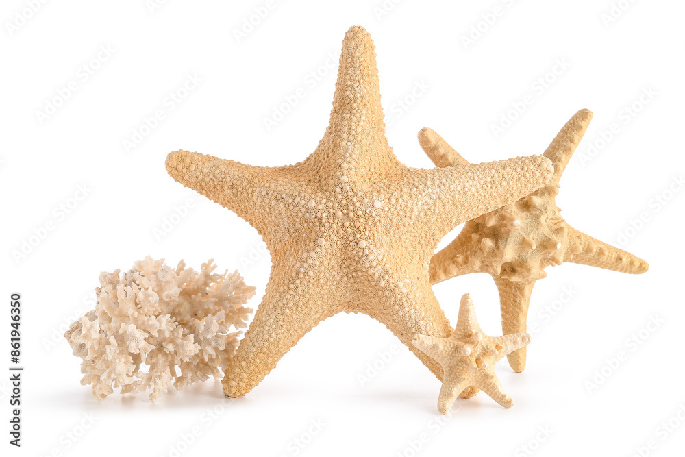 Beautiful starfishes and coral on white background Beautiful starfishes and coral on white background