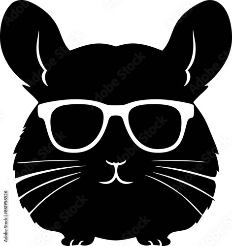 Chinchilla with Sunglasses