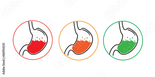 stomach icon set with three choise