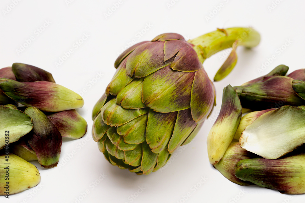 Fototapeta premium Purple artichoke on white background.