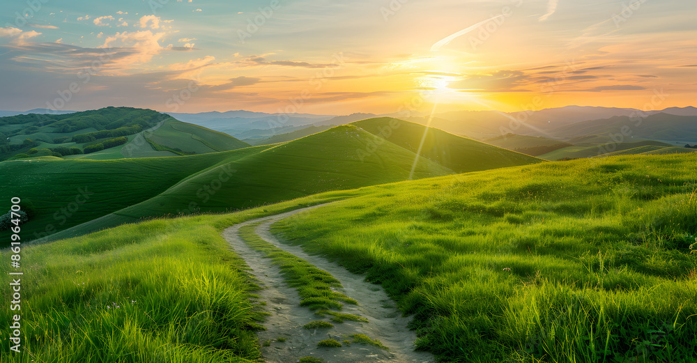 Fototapeta premium A green bright meadow