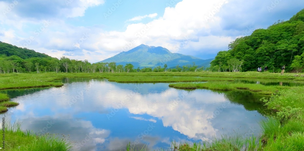尾瀬の花　flowers in oze