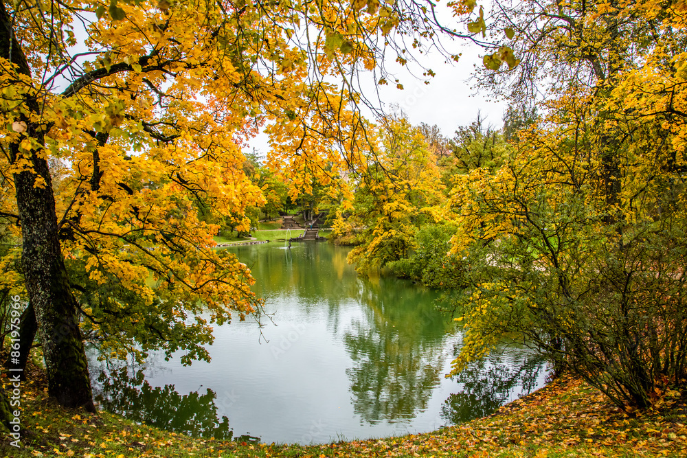 Pond in the autumn park, orange and red autumn trees, blue lake and ducks Pond in the autumn park, orange and red autumn trees, blue lake and ducks