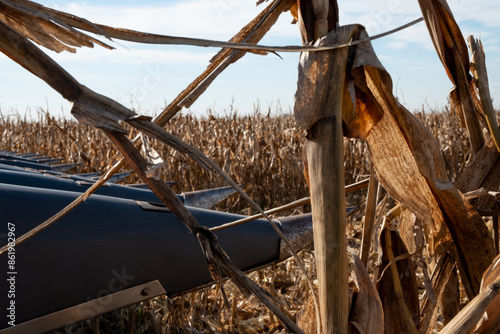 Detalle cosechadora de maíz en campo argentino, puntera rastrillo de cosecha photo