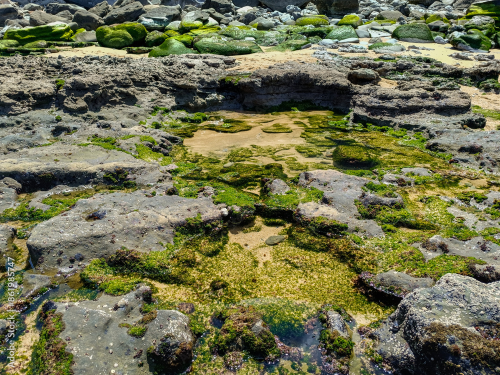 Puddle of sea water with moss-covered rocks at low tide, PORTUGAL Puddle of sea water with moss-covered rocks at low tide, PORTUGAL