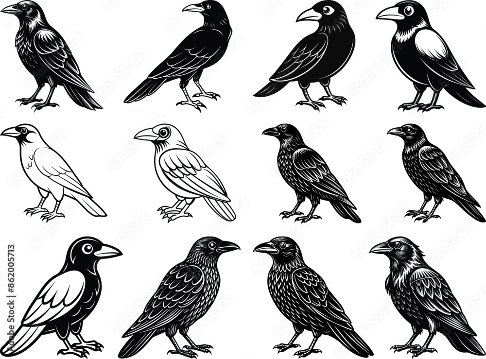 American crow silhouette vector art illustration, American crow cut file, American crow laser cut file, American crow cricut file, American crow wood engraving file, American crow laser engraving file American crow silhouette vector art illustration, American crow cut file, American crow laser cut file, American crow cricut file, American crow wood engraving file, American crow laser engraving file