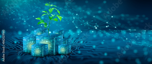 Tree growing on Circuit Digital Cube. Digital and Technology Convergence. Blue light and Wireframe network background. Green Computing, Green Technology, Green IT, csr, and IT ethics Concept.