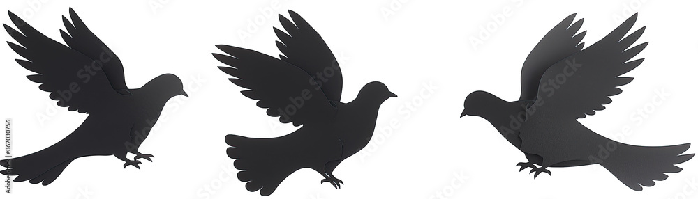 Pigeon Silhouettes Cut. Out of Paper, Top View, Side View, Close. Up. Isolated on a Transparent Background. Cutout PNG. Pigeon Silhouettes Cut. Out of Paper, Top View, Side View, Close. Up. Isolated on a Transparent Background. Cutout PNG.