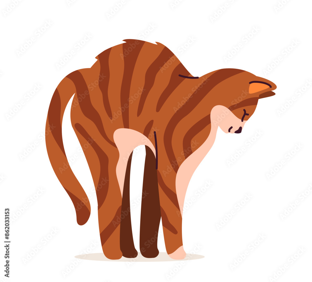 Fototapeta premium Cute cat concept. Adorabe domestic animal stretching. Brown and orange spotted pet. Lovely kitten stands. Poster or banner. Cartoon flat vector illustration isolated on white background