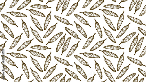 vintage Chili pattern for packaging design. chili peppers pattern background. vintage chili pepper seamless pattern background. doodle Spicy Pepper pattern.