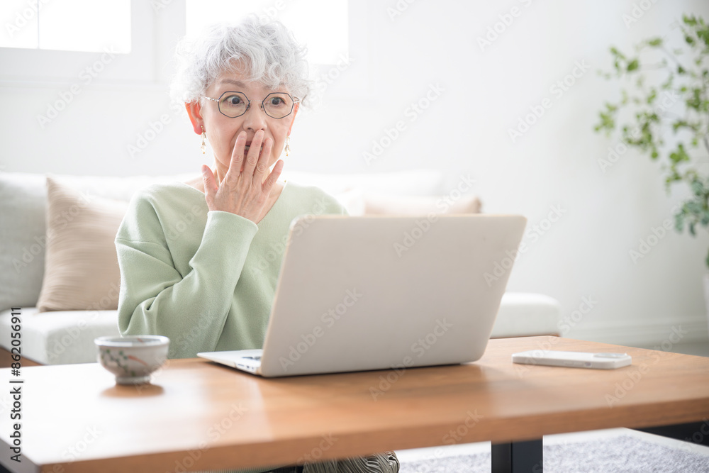Senior woman surprised by a scam site or some phishing email while looking at her computer Negative image Senior woman surprised by a scam site or some phishing email while looking at her computer Negative image
