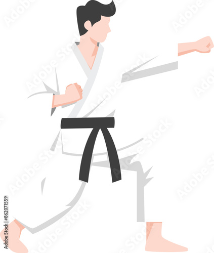 karate kung fu master Vector. karate moves illustration