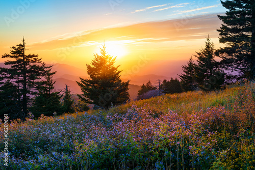 Fototapeta Naklejka Na Ścianę i Meble -  Scenic summer sunset over mountain side meadow in the appalachian mountains of virginia