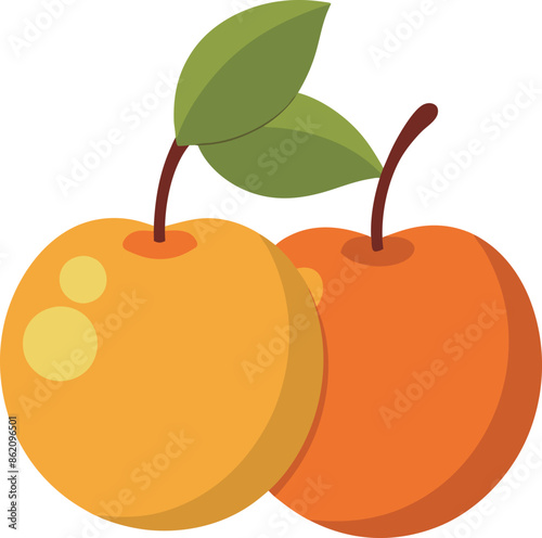 two mirabelles illustration flat design