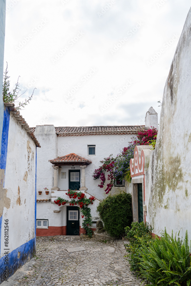 Fototapeta premium street of the medieval village of Óbidos in Portugal