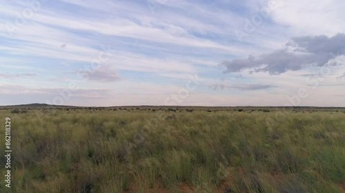 Aerial Drone Tracking Over Tall Savanna Grasses in Africa