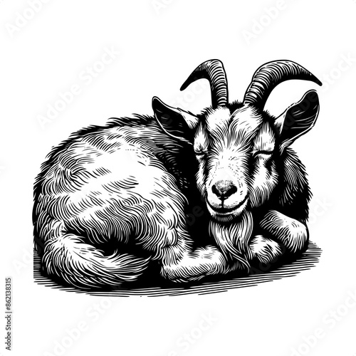 Goat in black and white animal drawing,
