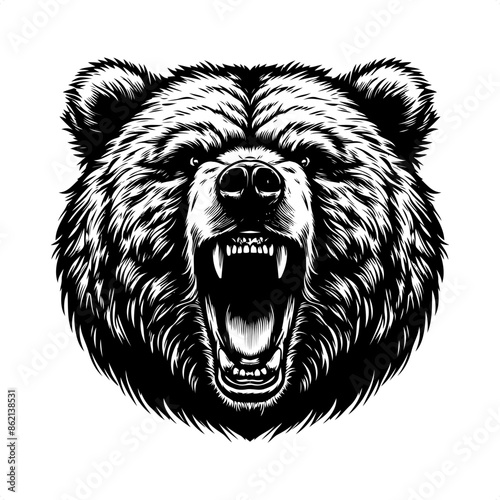 grizzly bear in black and white animal drawing,