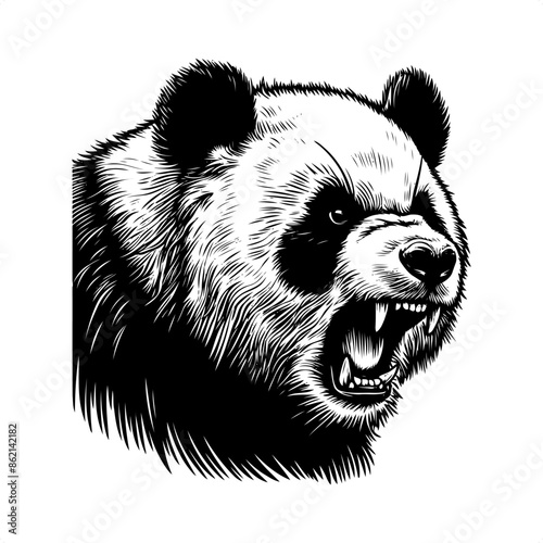panda in black and white animal drawing,