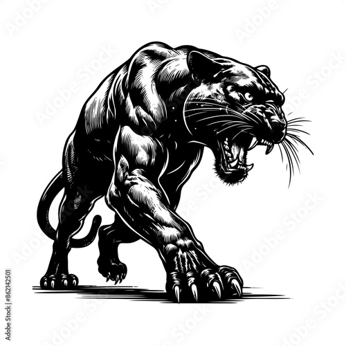 Panther in black and white animal drawing,