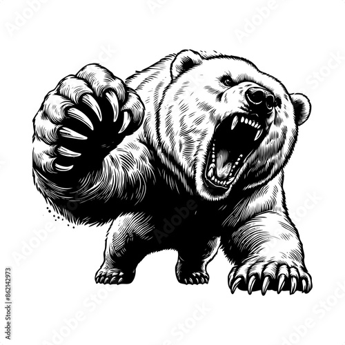 Polar bear in black and white animal drawing,