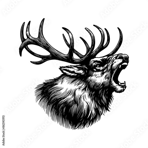 Moose in black and white animal drawing,