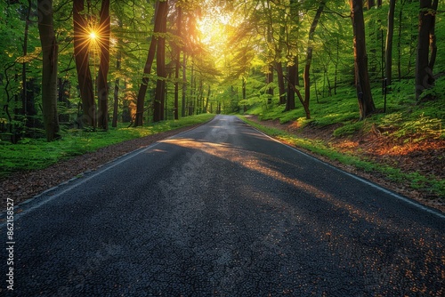 A quiet forest road illuminated by the setting sun, creating a serene and tranquil scene as the light filters through the trees, highlighting nature's calm and beauty. © LifeMedia