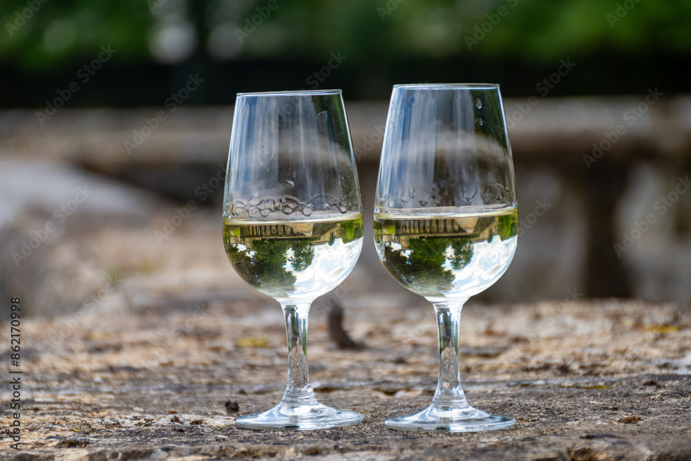 Obraz premium Glasses of white wine in old wine domain on Sauternes vineyards in Barsac village and old castle on background, Bordeaux, France