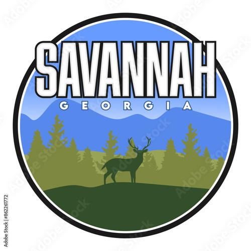 savannah georgia with beautiful views