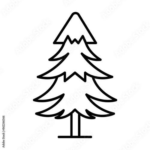 evergreen tree