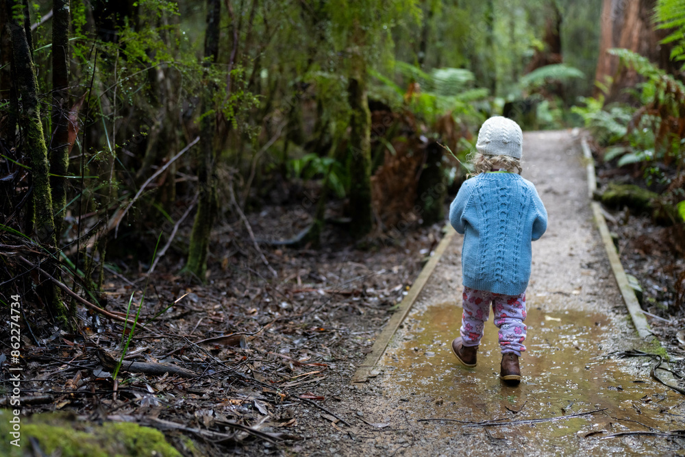 toddler hiking in the forest in winter wearing a beanie, walking on a trail in the australian bush. child exploring in nature and studying the environment and learning toddler hiking in the forest in winter wearing a beanie, walking on a trail in the australian bush. child exploring in nature and studying the environment and learning