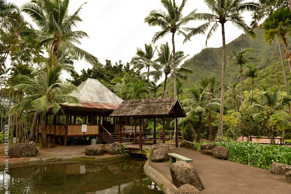Flowers, Trees, Tropical 
