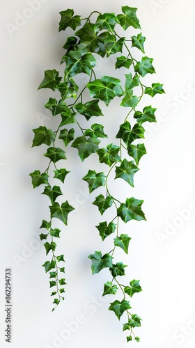 Wallpaper Mural Green ivy vine hanging on white wall, indoor plant concept Torontodigital.ca