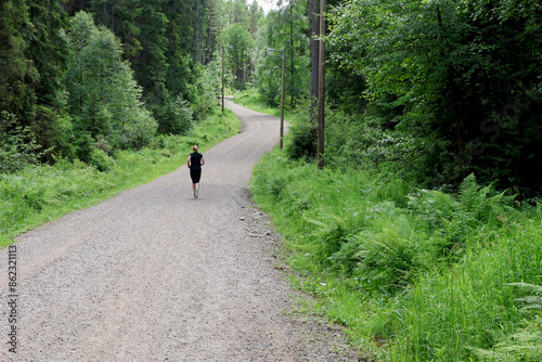 Photography Road in the forest