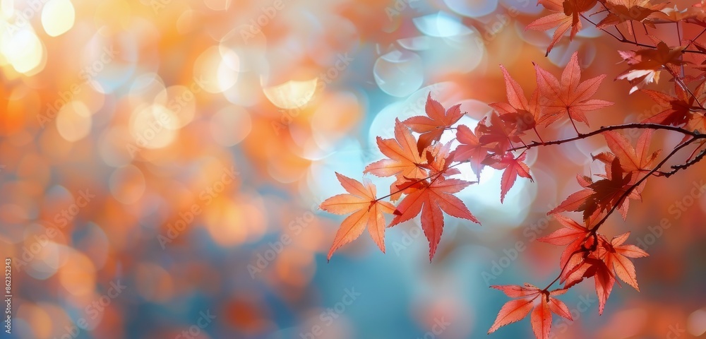 Red Maple Leaves Against A Blurry Autumn Background Red Maple Leaves Against A Blurry Autumn Background