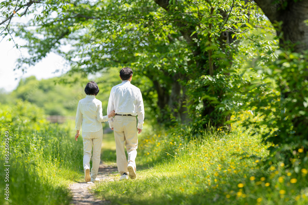 Fototapeta premium 新緑の公園を散歩するシニア夫婦