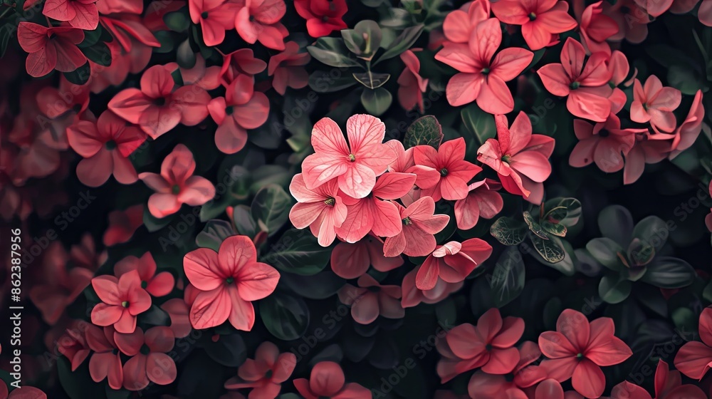 floral wallpaper background floral wallpaper background