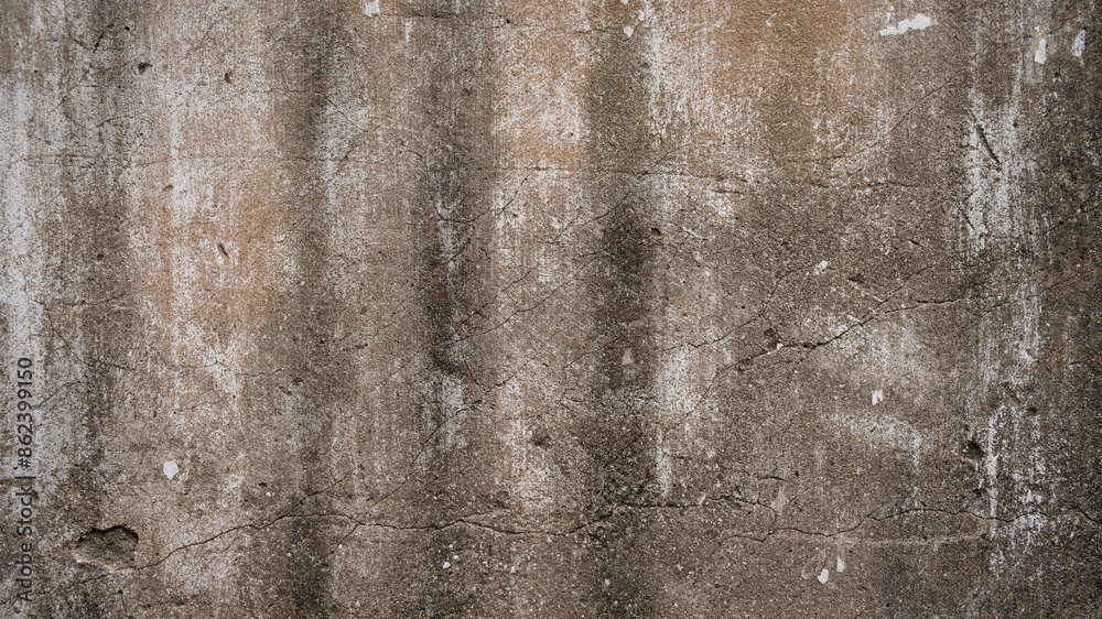 Closeup of a cement wall with dry moss. Closeup of a cement wall with dry moss.