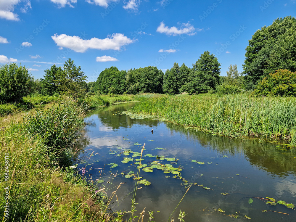 Fototapeta premium The small and wild Grabia river in central Poland.