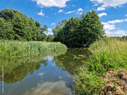 The small and wild Grabia river in central Poland. photo