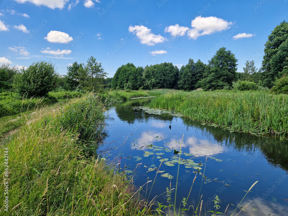 The small and wild Grabia river in central Poland.