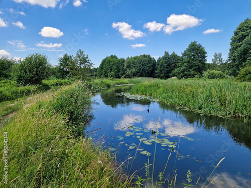 Obraz na płótnie The small and wild Grabia river in central Poland. w salonie