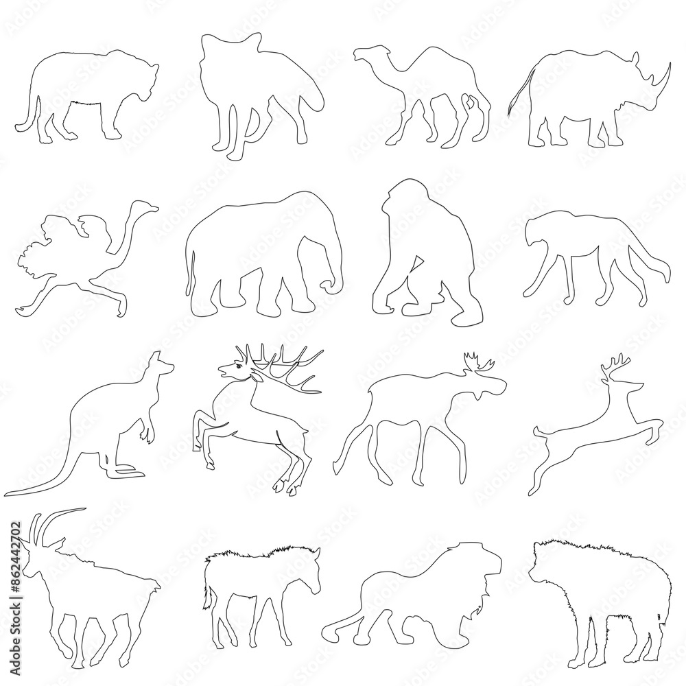 Animals trip drawing collection