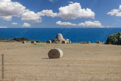 Obraz na płótnie Picturesque view of the farm field after harvest, large straw bales and old trullo cottage on the coast of Adriatic Sea, Italy, Apulia w salonie