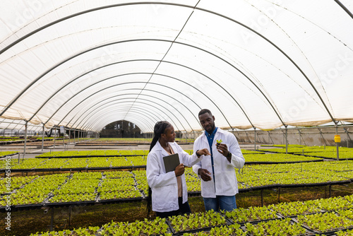 Examining hydroponic plants and discussing growth, farmers in greenhouse, copy space photo