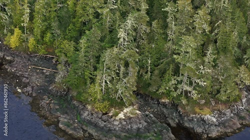 Nature's Serenity: Port Hardy's Coastal Wilderness photo